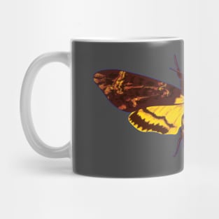 Silence, Moth! Mug